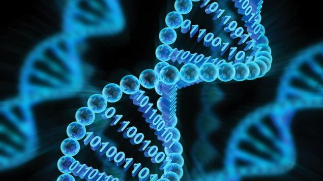 Microsoft: Dữ liệu đám mây sẽ được lưu trữ trong DNA và hologram